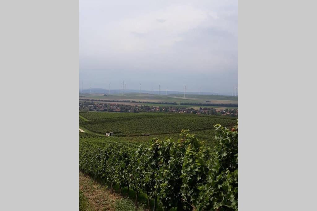 Appartamento Wohlfuehlen Im Rheinhessischen Backsteinhaus Armsheim Esterno foto