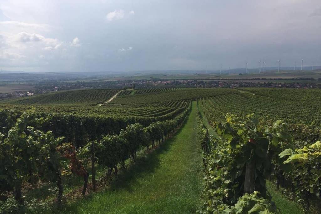 Appartamento Wohlfuehlen Im Rheinhessischen Backsteinhaus Armsheim Esterno foto